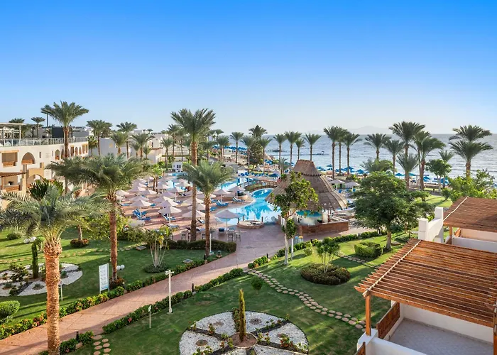 Pickalbatros Royal Grand Sharm - Adults Friendly 16 Years PlusAlbergo